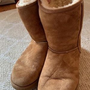 Short Chesnut Uggs